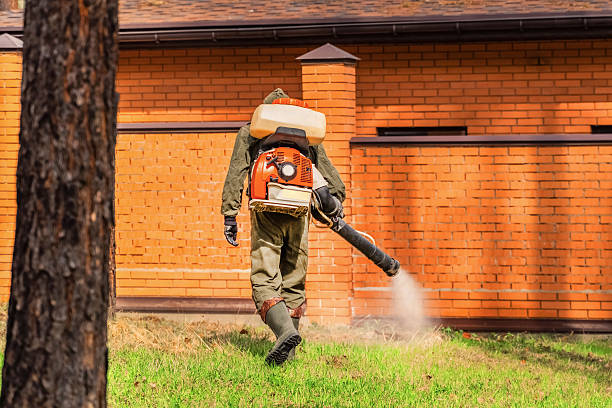 Bed Bug Clearance Verification and Documentation in Hazlehurst